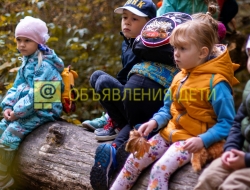 Семейный поход «Почемучка», дети 3-6 лет с родителями